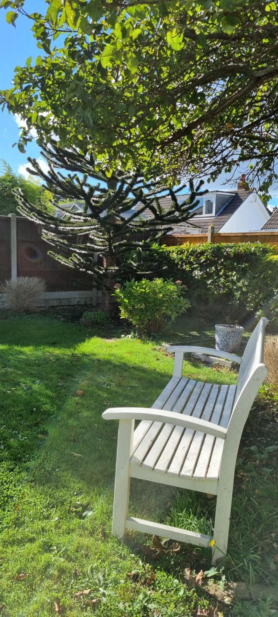 Cosy Bournemouth Bungalow Ferndown Exteriér fotografie